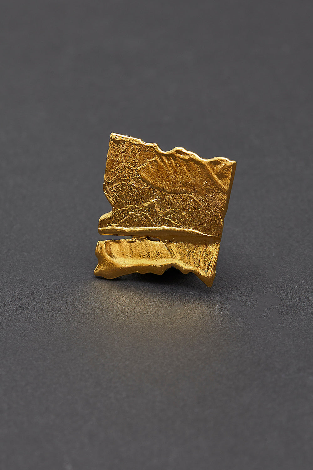 De gold brooch - fasfas