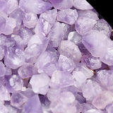 Amethyst savanna earrings(clip-on earrings) - fasfas