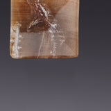 Petrified wood dramatique earrings - fasfas