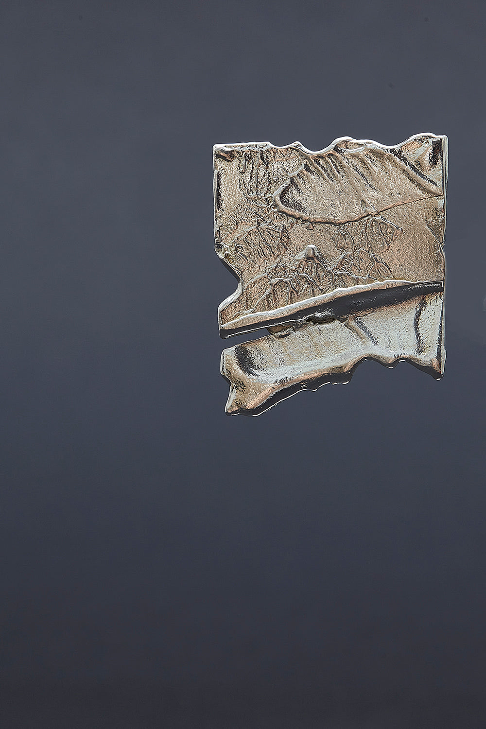 De silver brooch - fasfas