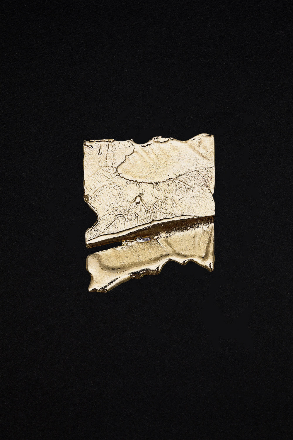 De gold brooch - fasfas