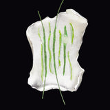 Rhizome objet brooch green - fasfas