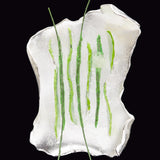 Rhizome objet brooch green - fasfas