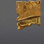 De gold brooch - fasfas