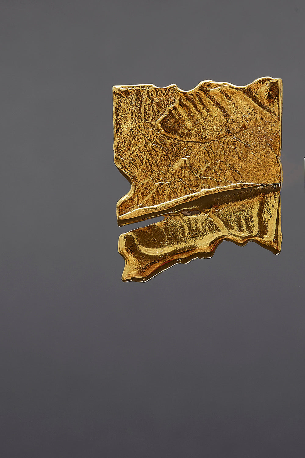 De gold brooch - fasfas