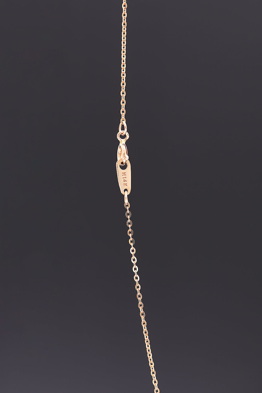 [14K Gold] Adagio necklace - fasfas