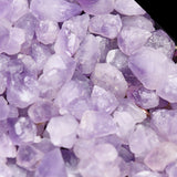 Amethyst savanna earrings(clip-on earrings) - fasfas