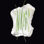 Rhizome objet brooch green - fasfas