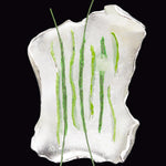 Rhizome objet brooch green - fasfas