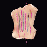 Rhizome objet brooch pink - fasfas