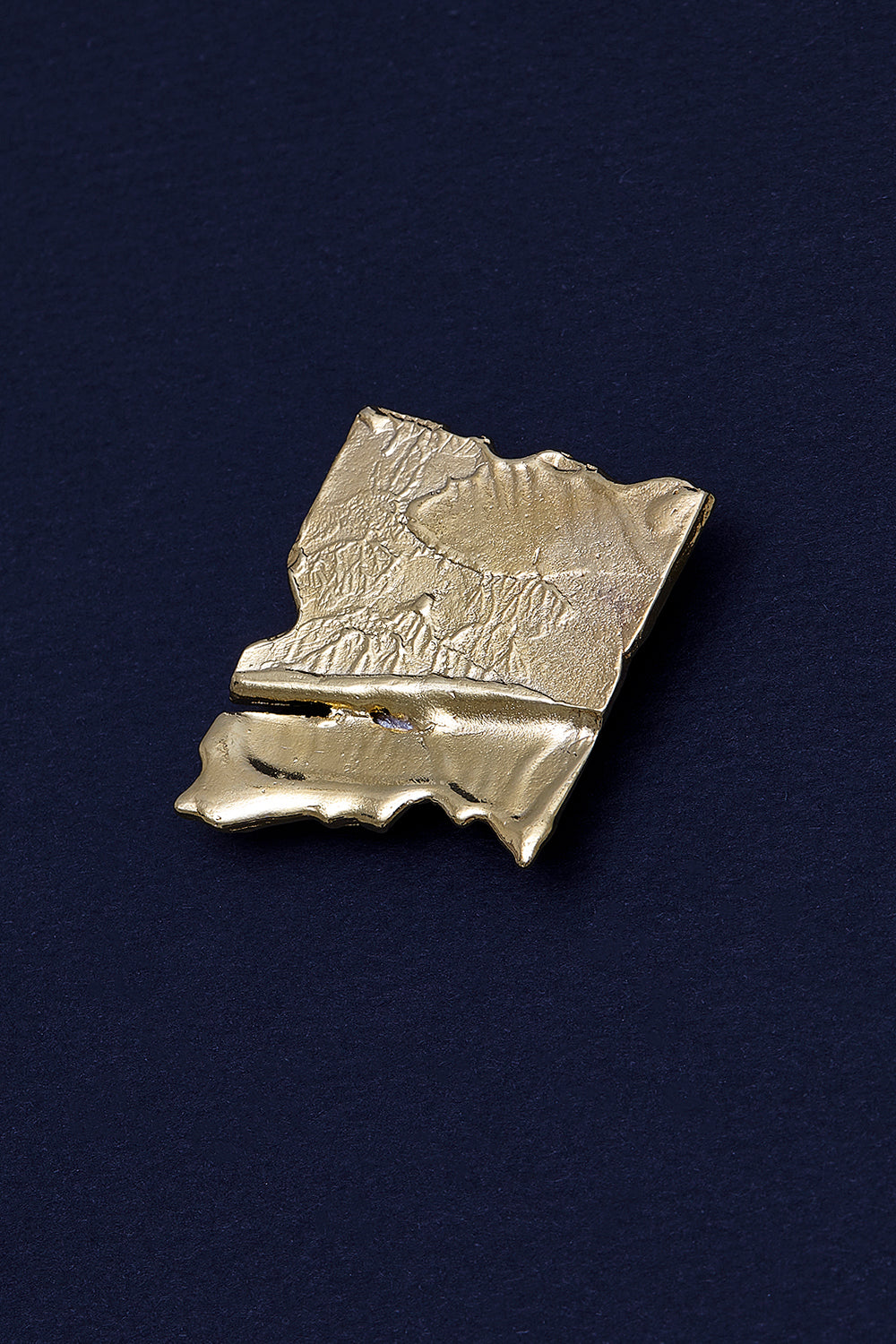 De gold brooch - fasfas