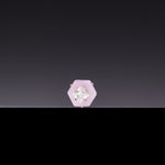 Kunzite core poise earrings(clip-on earrings) - fasfas