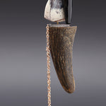 Arctic jasper oxhorn abstract brooch - fasfas